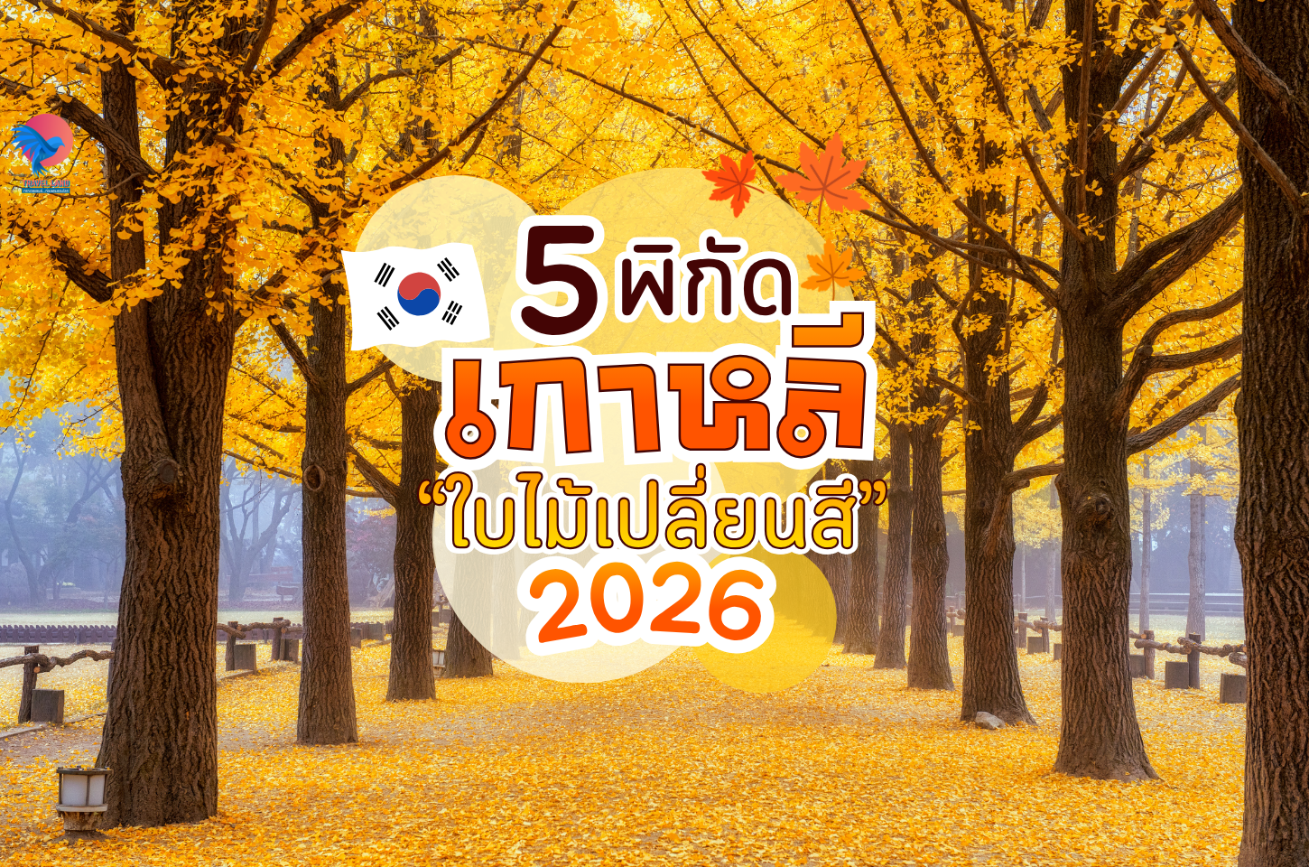 5 พิกัดเกาหลีใบไม้เปลี่ยนสี 2026