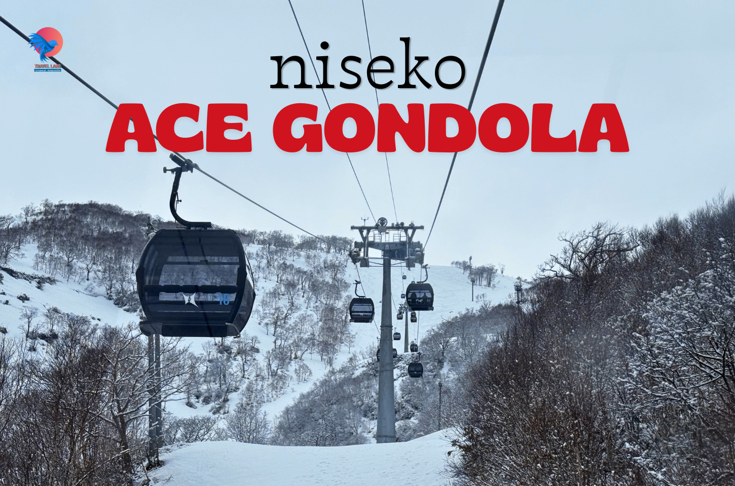 Niseko Ace Gondola กระเช้าใหม่ 2026 วิวภูเขาโยเตอิ กิจกรรมหิมะครบ