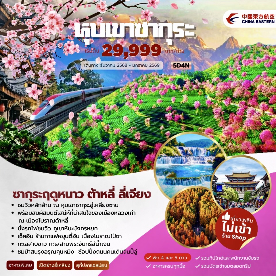 ทัวร์จีน ซากุระฤดูหนาว ต้าหลี่ ลี่เจียง 5วัน 4คืน (MU)